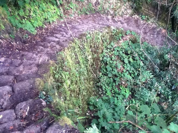 Original Inca Paved Trail